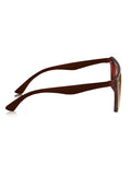 Prime Brown Oversized One Size Plastic UV Sunglasses-OL109BR